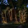 LED Christmas lights 12volts AC / DC Specifically for Landscape lighting systems