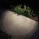 LED LED-S220-BR bronze outdoor landscape lighting flower path light low voltage warm white